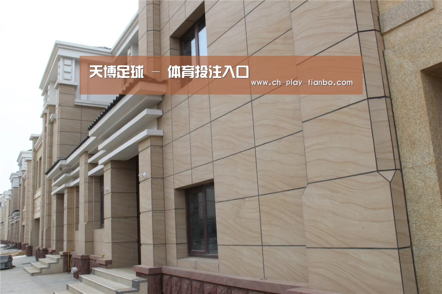 山东湖滨泰和公馆(图1)