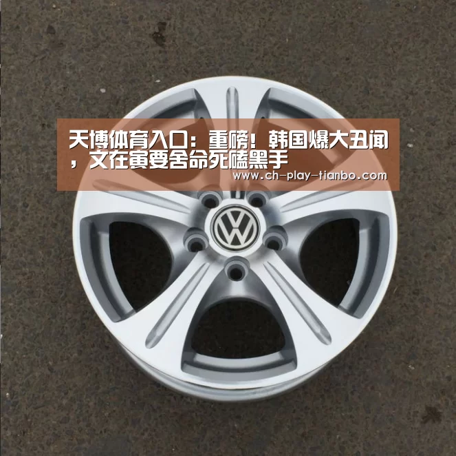 天博体育入口:重磅!韩国爆大丑闻,文在寅要舍命死磕黑手(图4) 天博体育官网