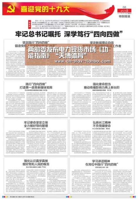 两部委发布电力现货市场《功能指南》“天博体育”(图1) 天博体育官网