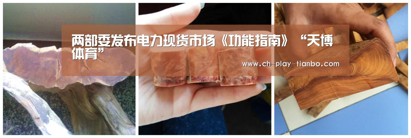 两部委发布电力现货市场《功能指南》“天博体育”(图3) 天博体育入口