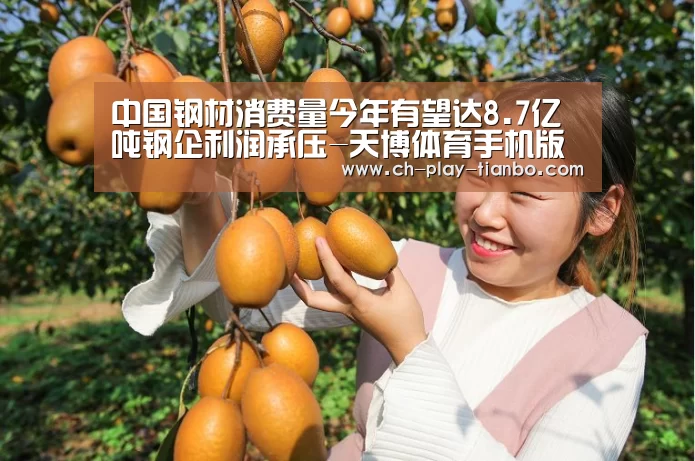 中国钢材消费量今年有望达8.7亿吨钢企利润承压-天博体育手机版