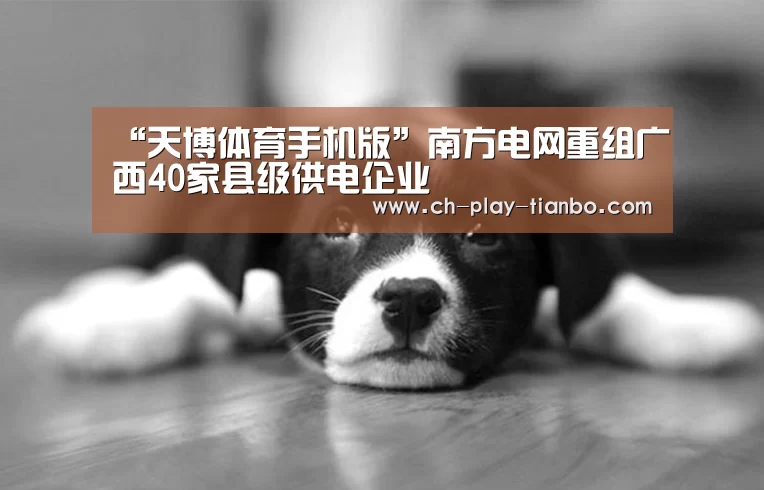 “天博体育手机版”南方电网重组广西40家县级供电企业